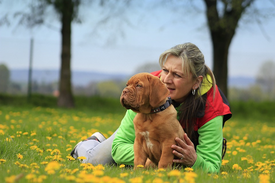 Lady and her dog pet